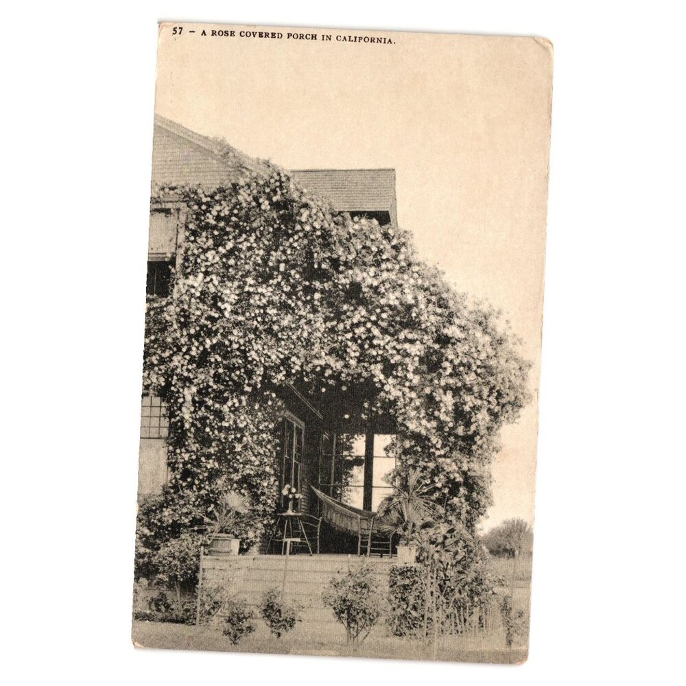 Vintage Postcard Rose Covered Porch Edward Mitchell San Francisco CA Early 1900s